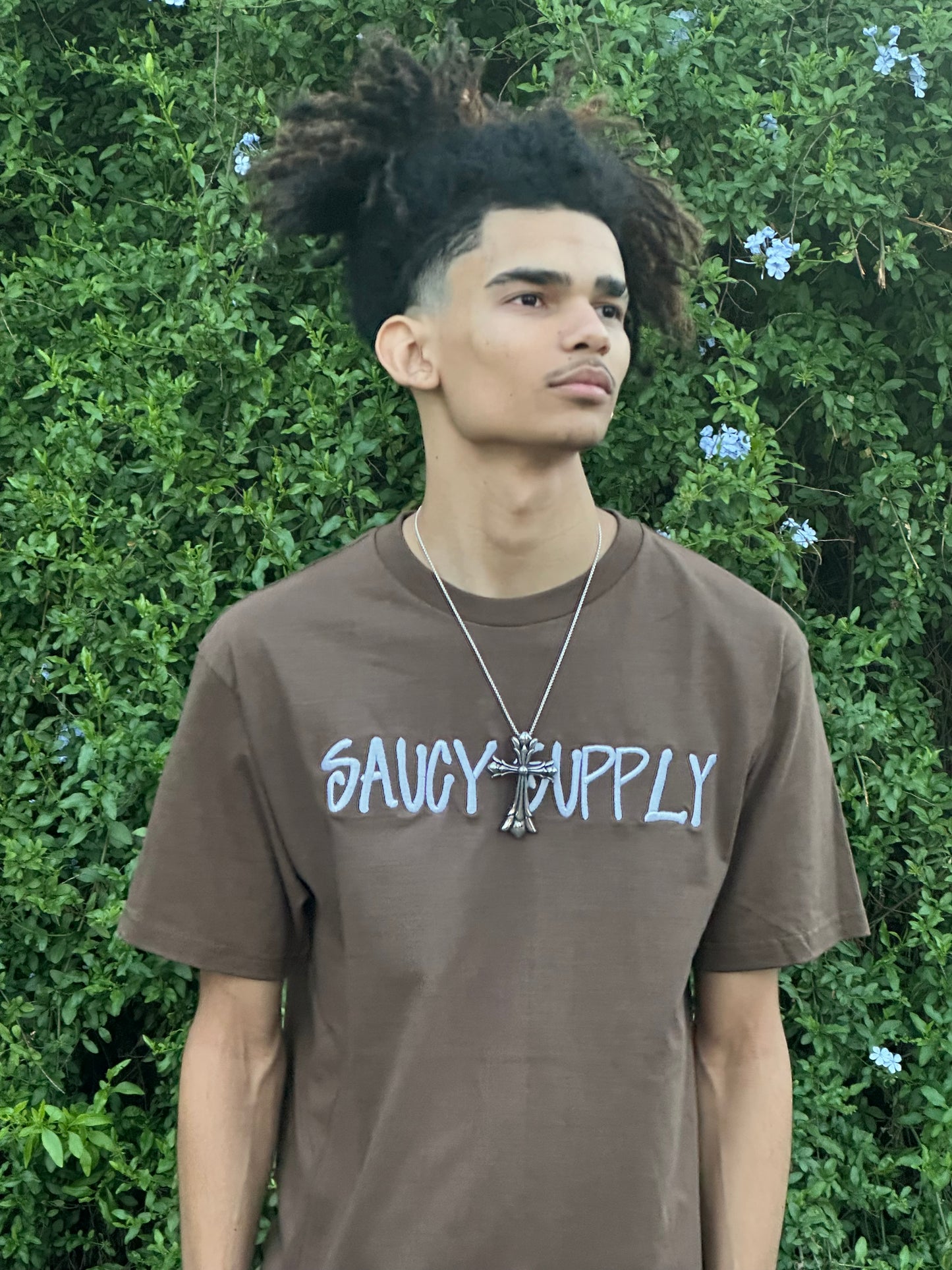 Chocolate Sauceberries