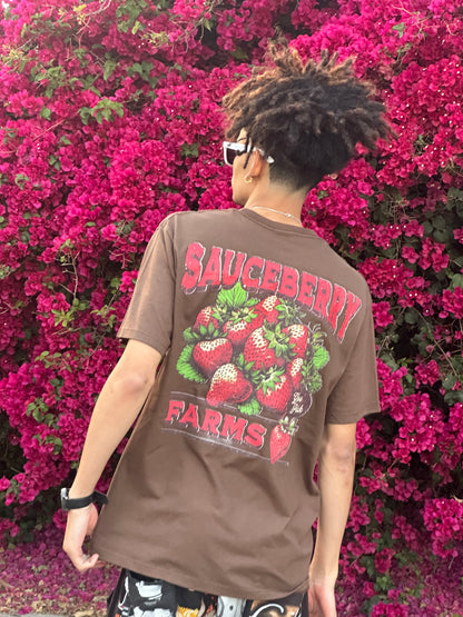 Chocolate Sauceberries